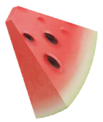 IMG 5288 4 - پنل اس ام اس - پنل پیامکی